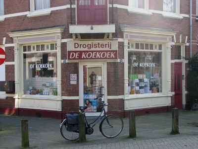 820474 Gezicht op de winkelpui van het hoekpand Koekoekstraat 48 (Drogisterij De Koekoek ) te Utrecht; rechts de ...